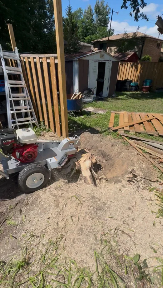 Stump grinding in Scarborough, Ontario — grinder beside an exposed tree stump near a backyard fence and shed