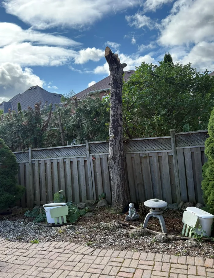 Tree removal in Pickering, Ontario — trunk with upper branches removed beside a backyard wooden fence